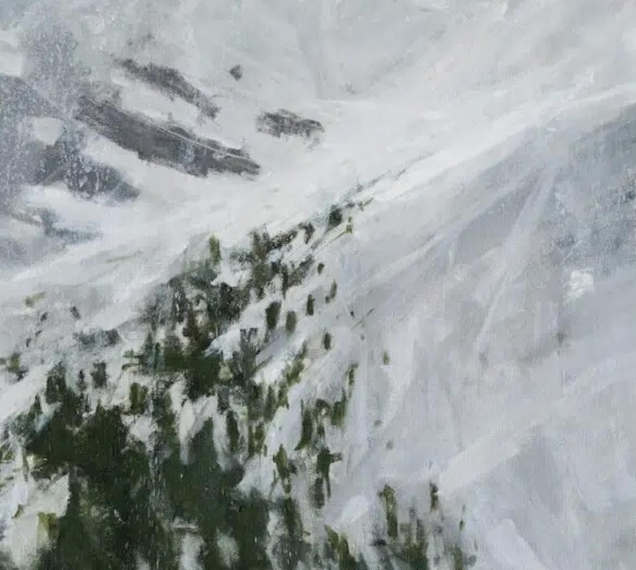 Canfranc aus der Sammlung Snow ist ein Gemälde des zeitgenössischen spanischen Künstlers Calo Carratalá. Die Abmessungen betragen 120 × 175 cm (47,2 × 68,9)

Dieses Kunstwerk zeigt eine winterliche Berglandschaft in Canfranc, einer Gemeinde im