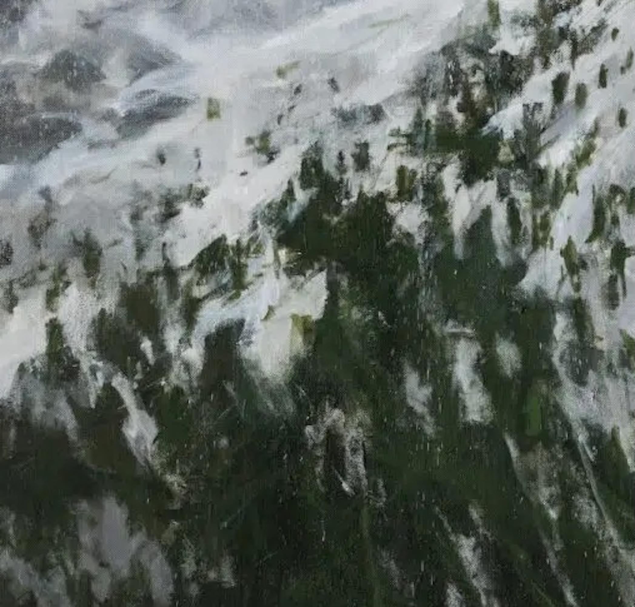 Canfranc von C. Carratalá - Großformatiges Gemälde, Berglandschaft, Schnee im Angebot 2