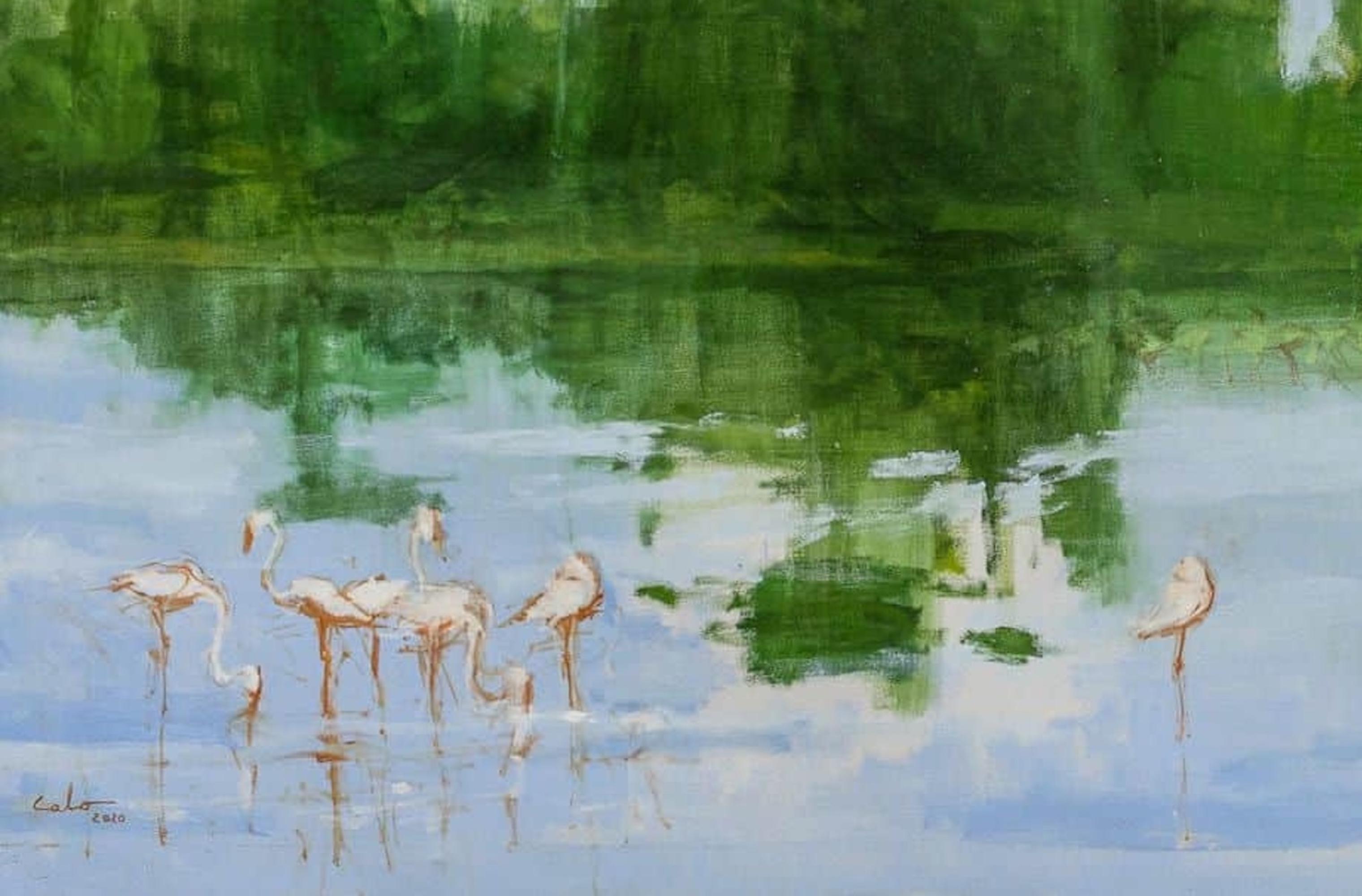 Flamingos am Manyarasee von Calo Carratalá - Große Wasserlandschaft, Vögel im Angebot 6