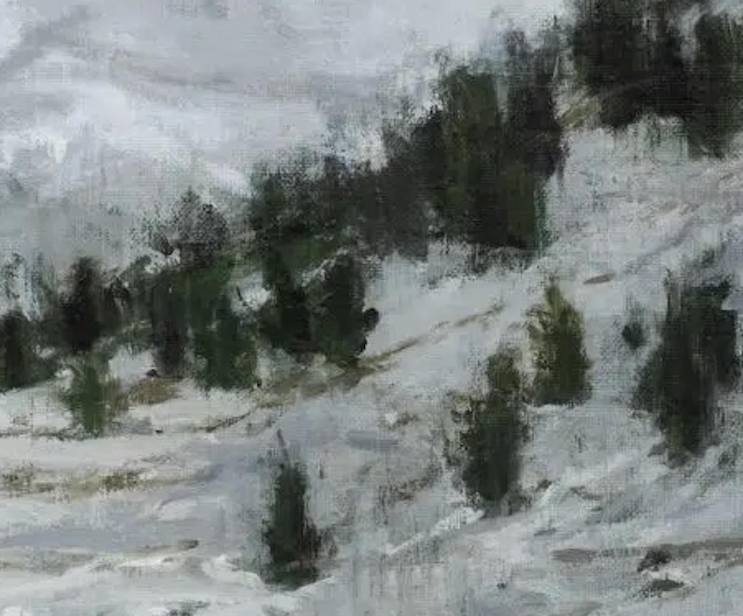 Großer Bernhardiner N10 von Calo Carratalá - Landschaftsmalerei im Angebot 3