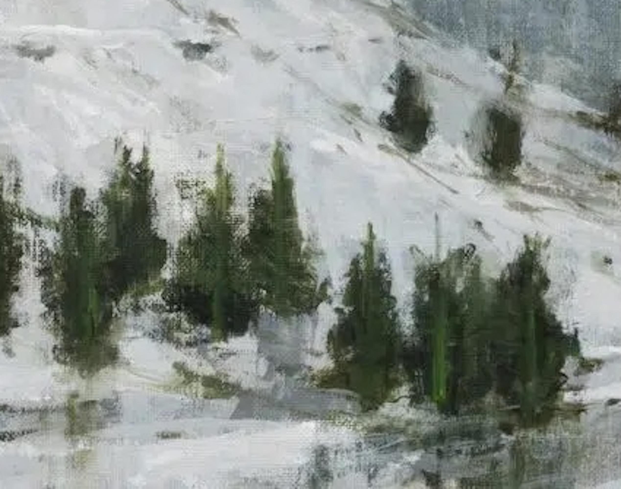 Großer Bernhardiner N10 von Calo Carratalá - Landschaftsmalerei im Angebot 6