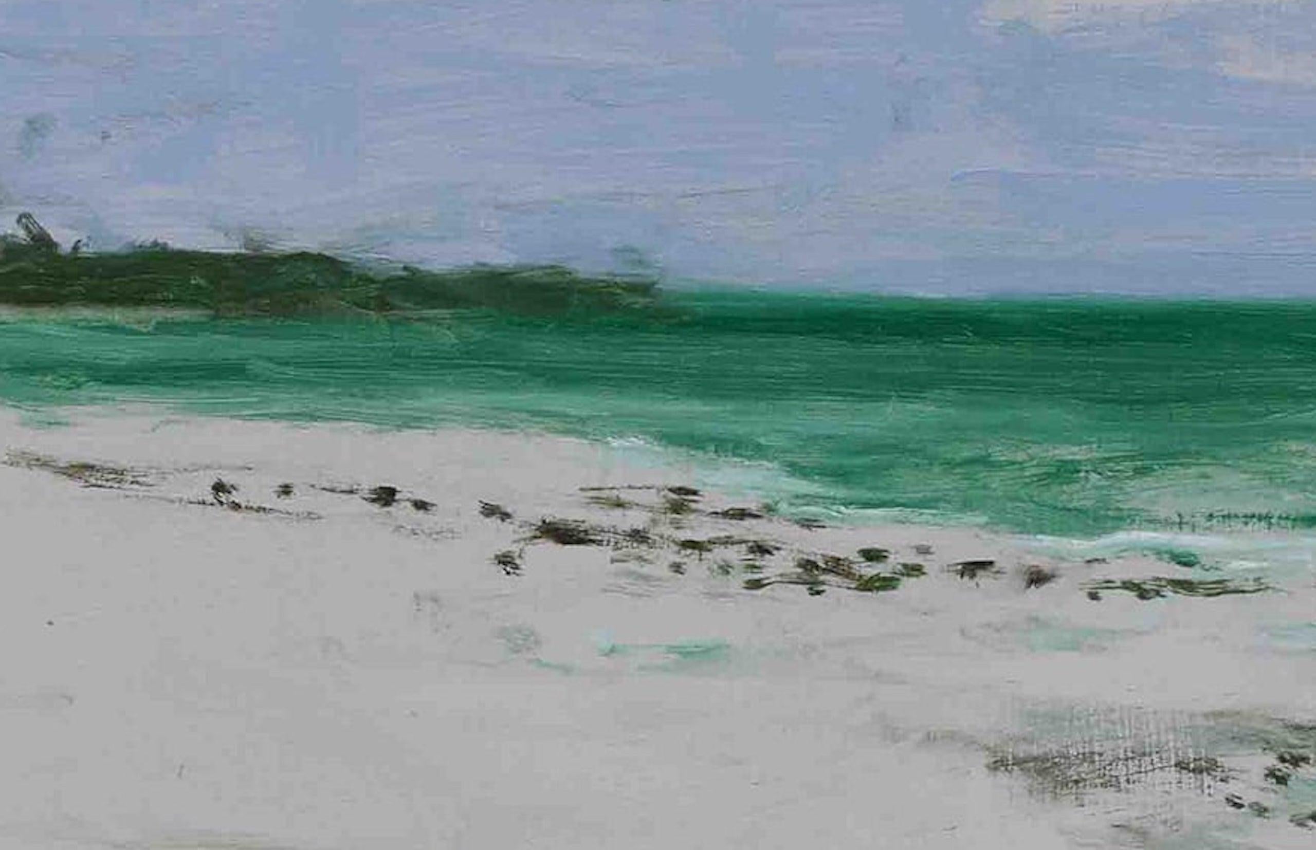 Marinas n°38 by Calo Carratalá - Beach landscape painting, summer, Tanzania For Sale 1