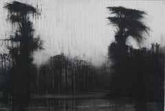 Rio Itaya no. 2, Jungle series - Tropical Forest Landscape