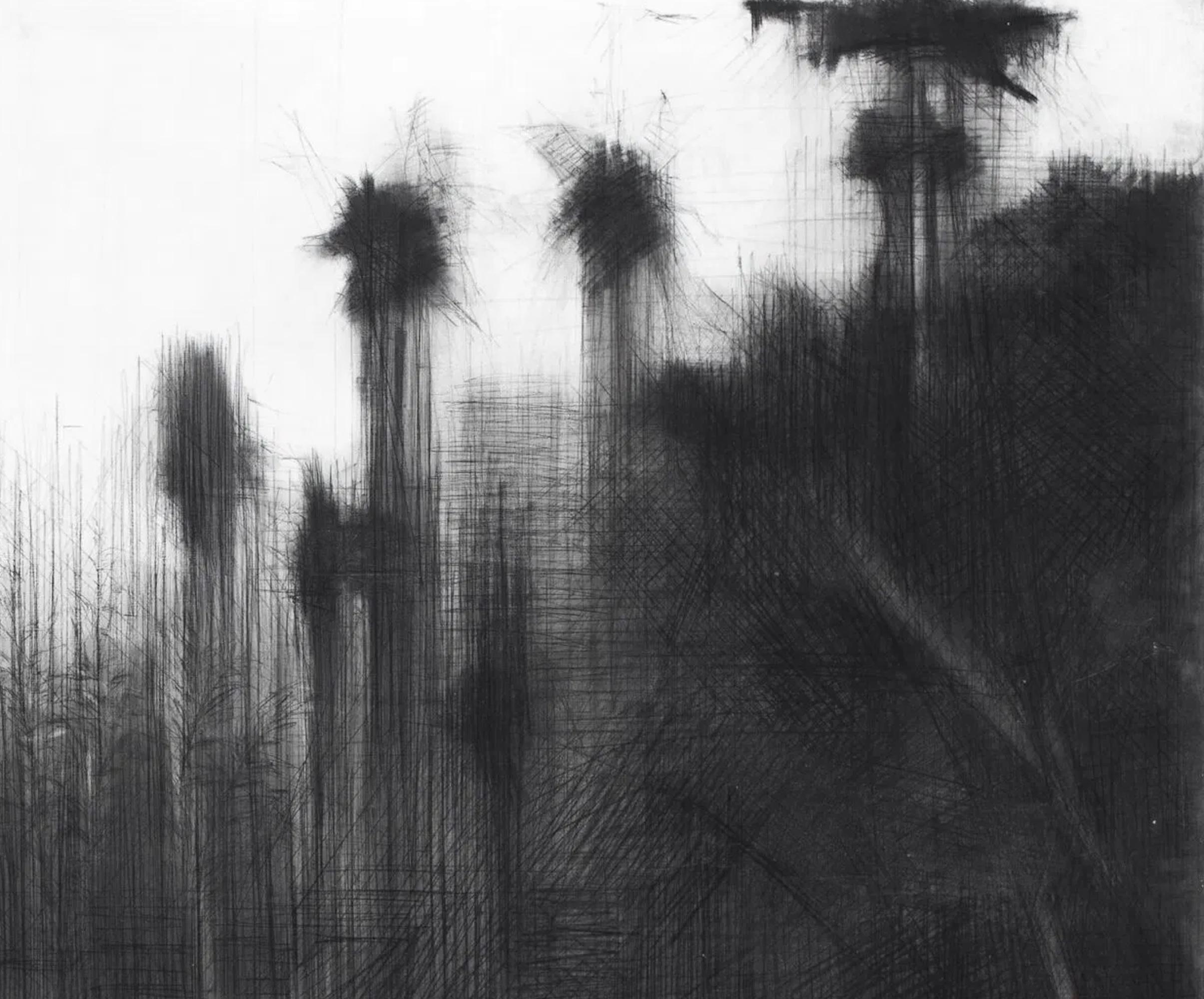 Selvas Negras #1 par Calo Carratalá - Paysage de forêt tropicale, jungle amazonienne en vente 7