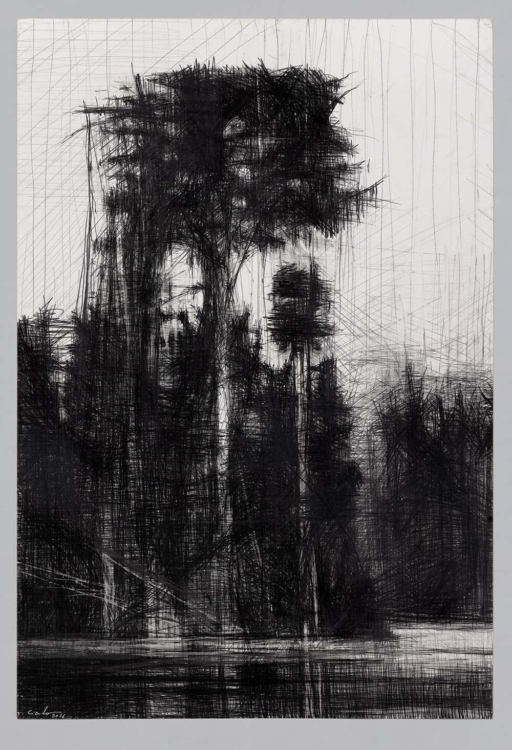 Selva Negra #11 di Calo Carratalá - Disegno di paesaggio, Amazzonia, albero tropicale in vendita 3