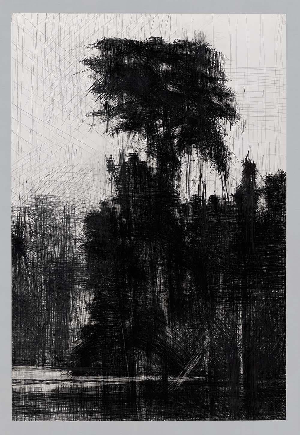 Selva Negra #11 di Calo Carratalá - Disegno di paesaggio, Amazzonia, albero tropicale in vendita 4