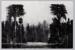 Selvas Negras #11 By Calo Carratalá - Landscape drawing, Amazonia, tropical tree