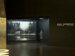 Selvas Negras No. 3 by Calo Carratala - Tropical Forest Landscape, black & white