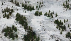 Trees in Baqueira by Calo Carratalá - snow, landscape, mountains
