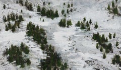 Trees in Baqueira, Snow series - Mountain Landscape Painting