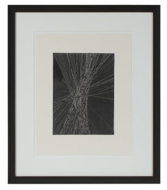 Abstract Etching Black & White, Circa 2000s