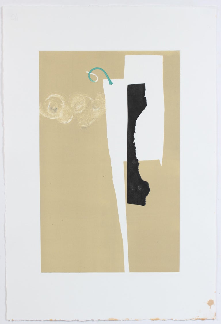 Calvin Anderson - Contrasting Colors and Forms 20th Century Monotype ...