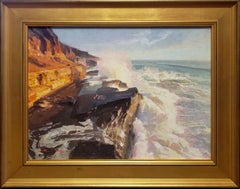 Marea in arrivo nella baia di San Diego