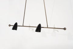 Calyx Chandelier