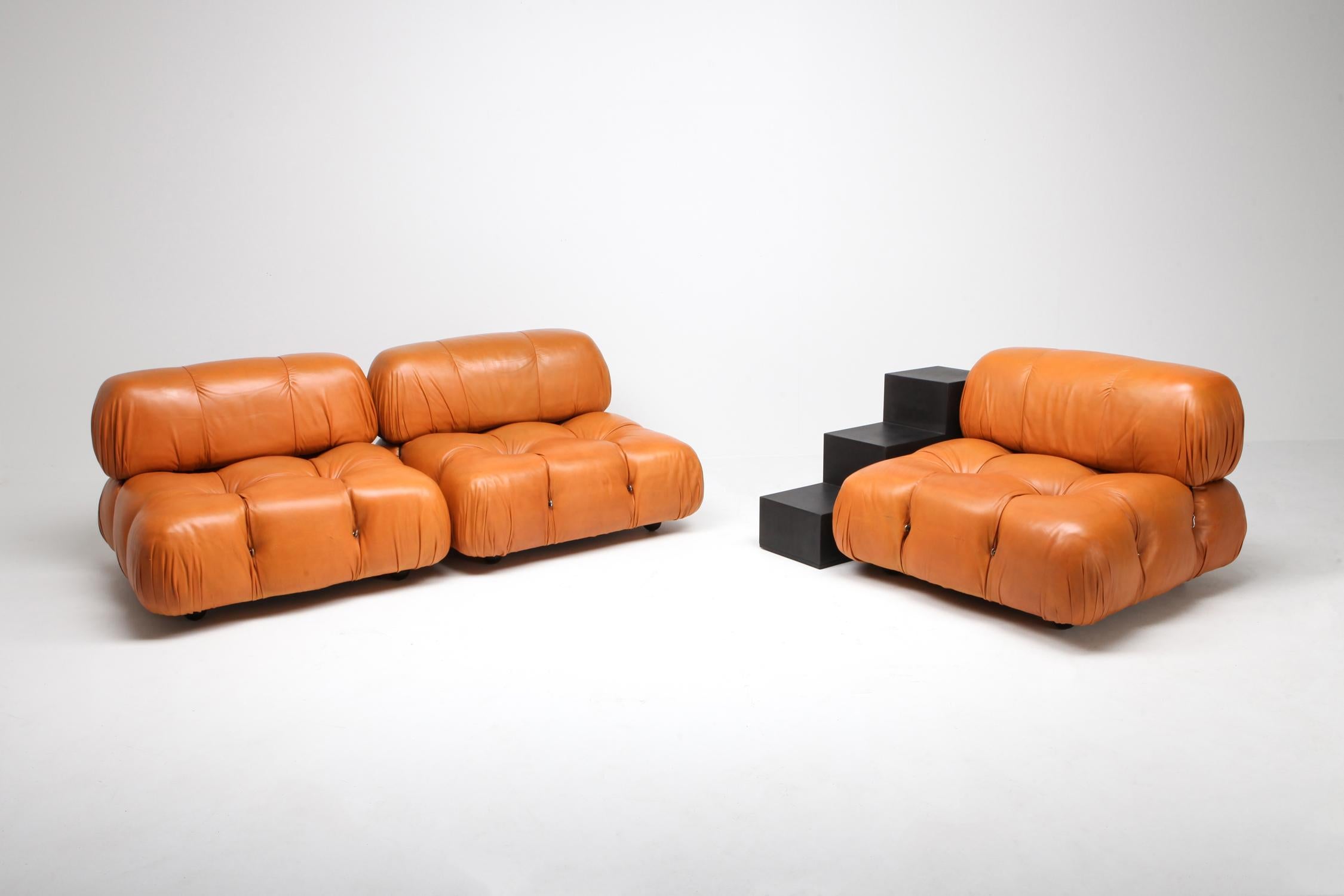 Camaleonda Sectional Sofa in Original Cognac Leather 1