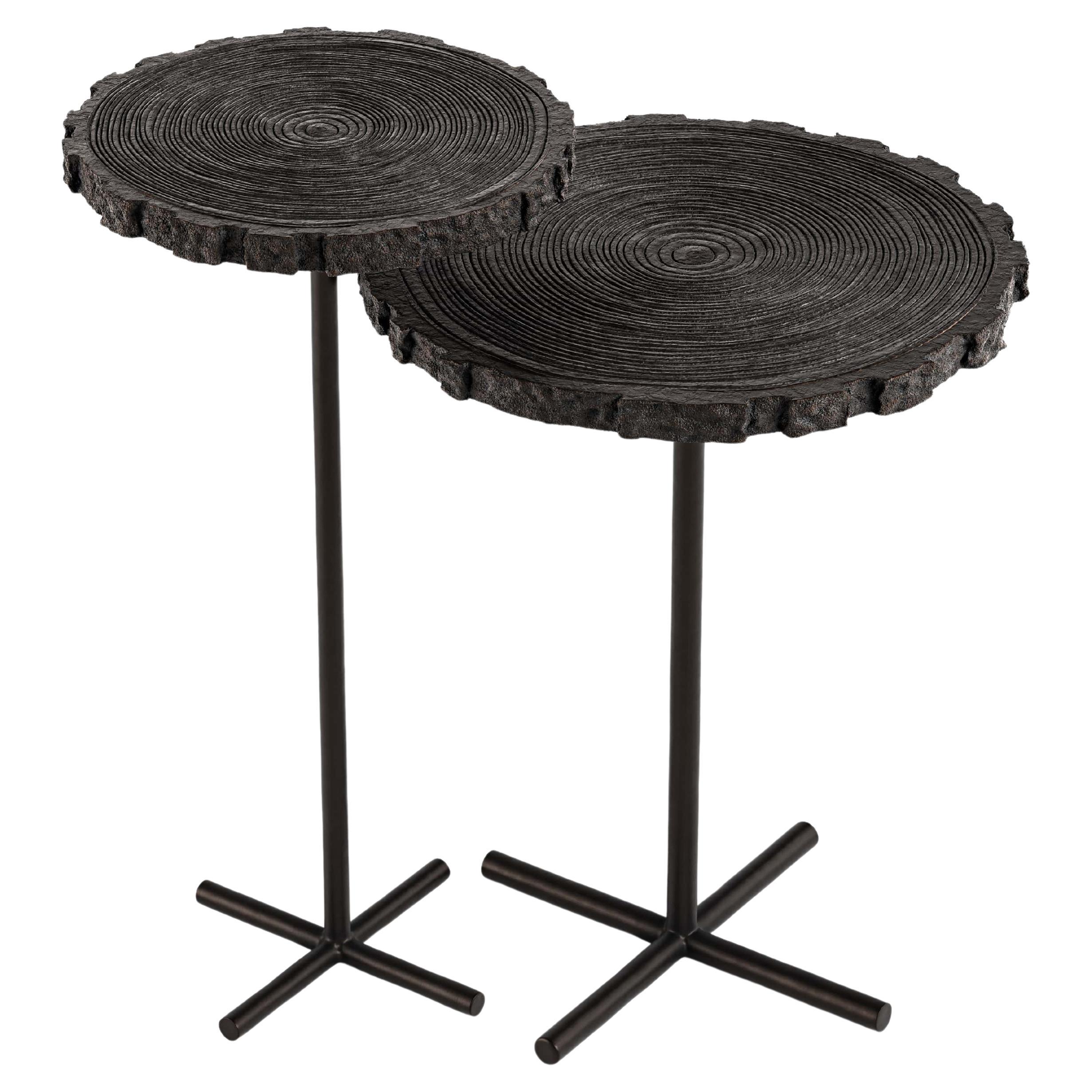 Cambium Nesting Table (court métrage) de Brian CHAABAN en vente