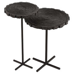 Cambium Nesting Table (Kurzfilm) von Brian CHAABAN