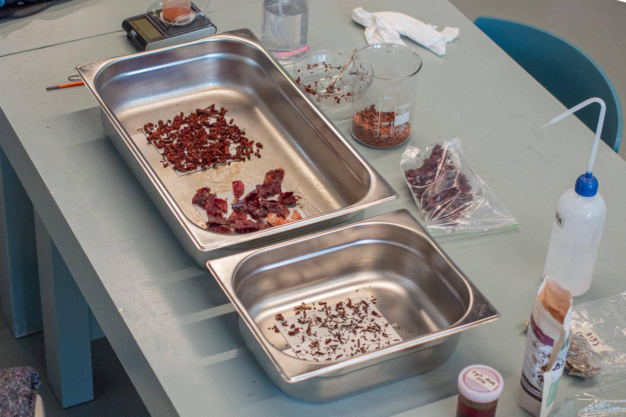 Modern Cambium Table Lamp in Green Matte Plant-Dyed Anodized Aluminium Studio Loop Loop For Sale