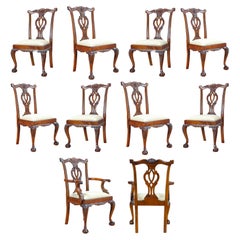 Cambridge-Mahagoni-Stühle, 10er-Set 