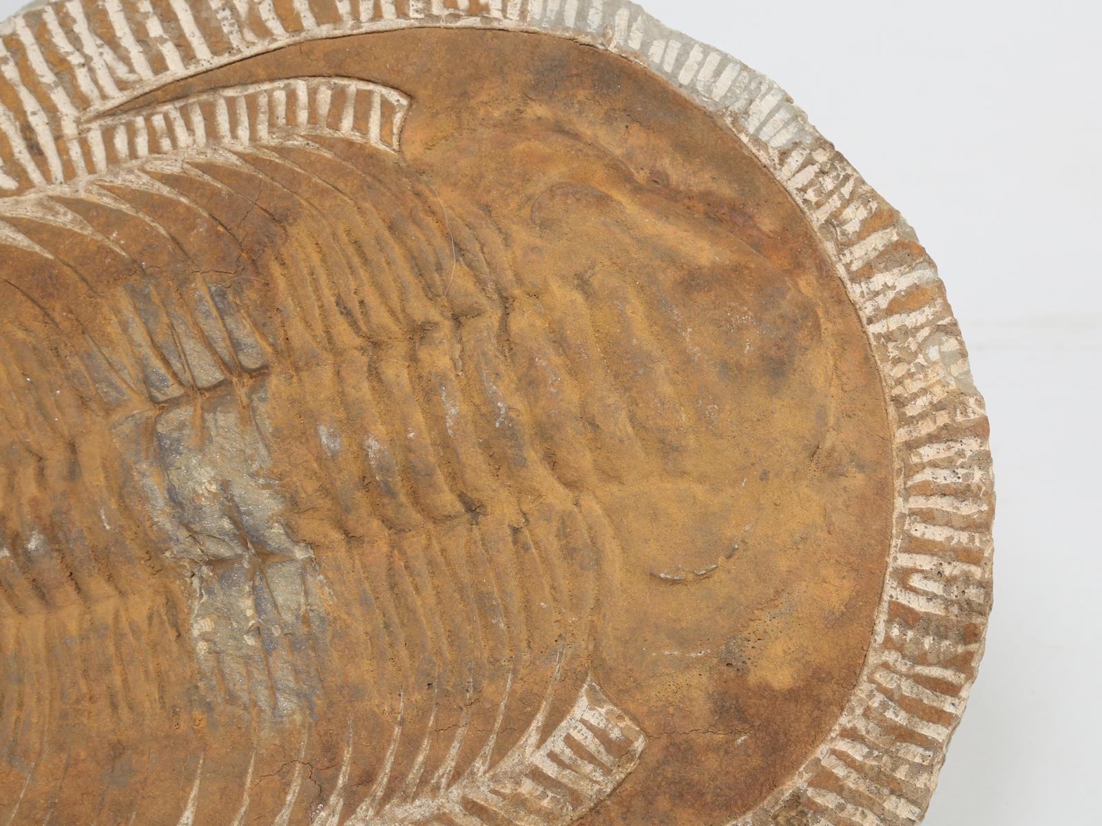 Trilobites, existing today only in fossil form, was an early arthropod. When life exploded into animal form marking the beginning of the Paleozoic, it was this prolific arthropod that became the signpost for the era. They came into existence