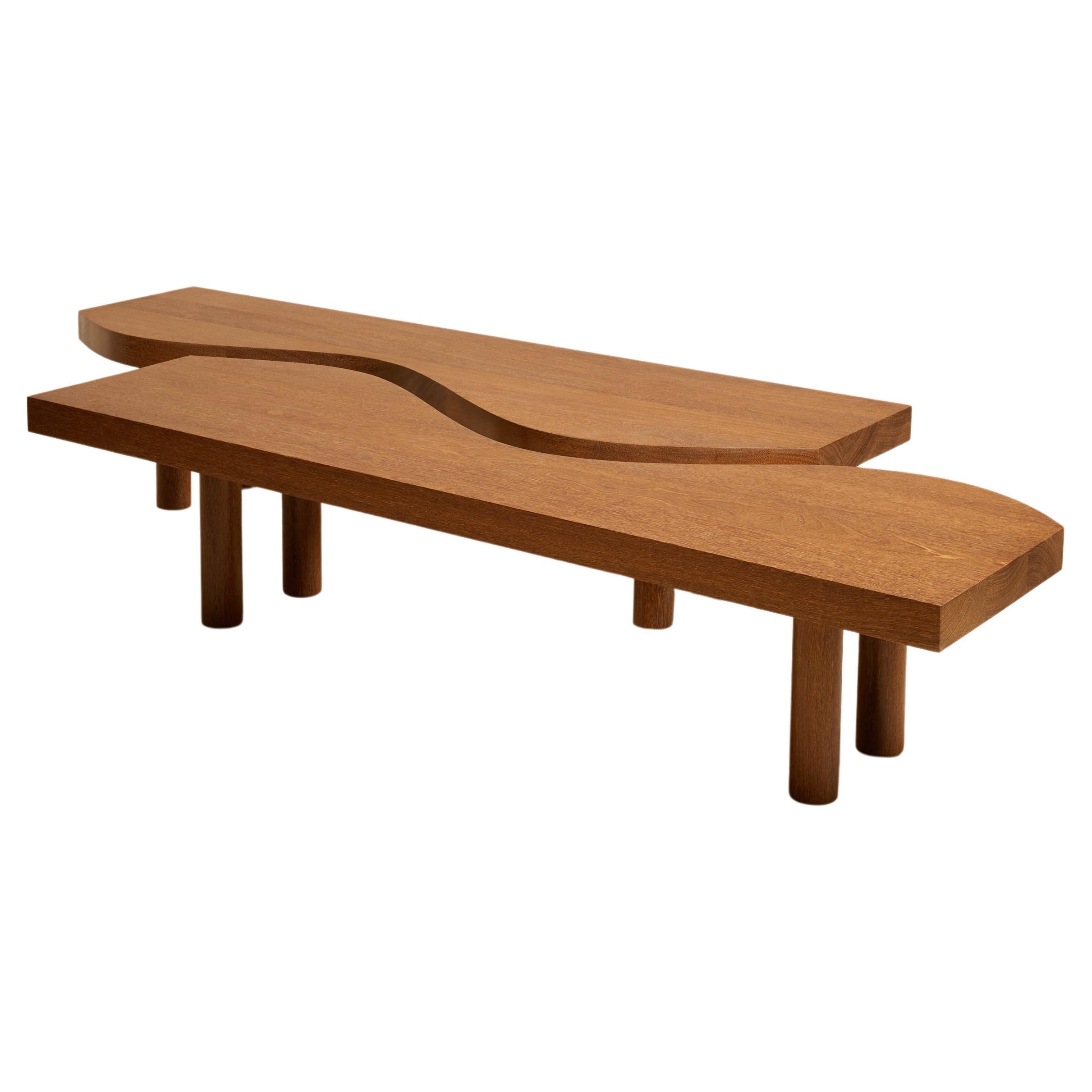 Table basse camel par EBUR