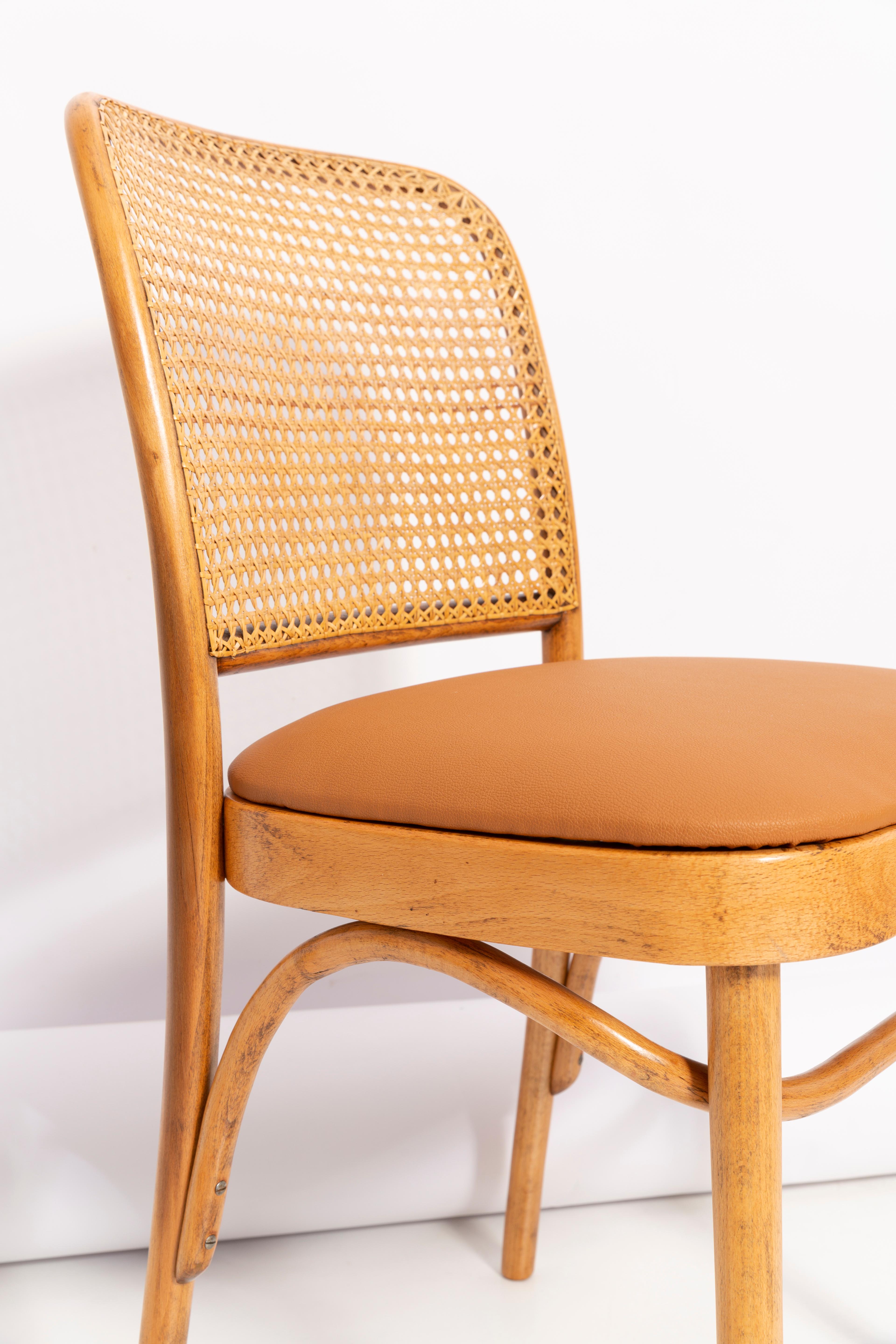 Magnifique chaise en rotin, en faux cuir camel et en bois. Ils ont été produits dans l'usine de menuiserie Thonet et nous les avons entièrement rénovés. La construction est faite de bois de hêtre teinté à l'eau couleur brun chêne. Les chaises sont