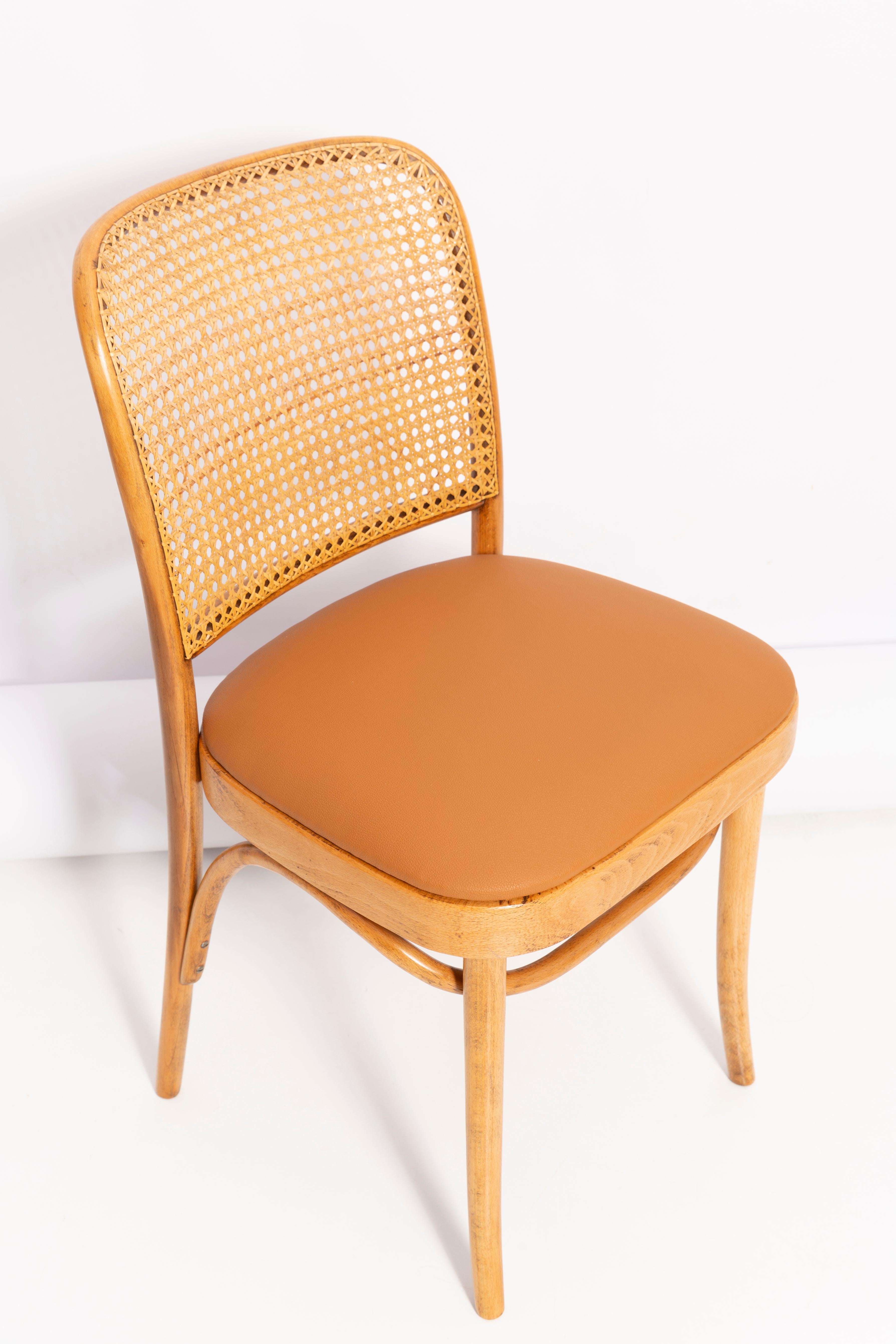 Polish Camel Faux Leather Thonet Wood Rattan Chair, 1960s For Sale