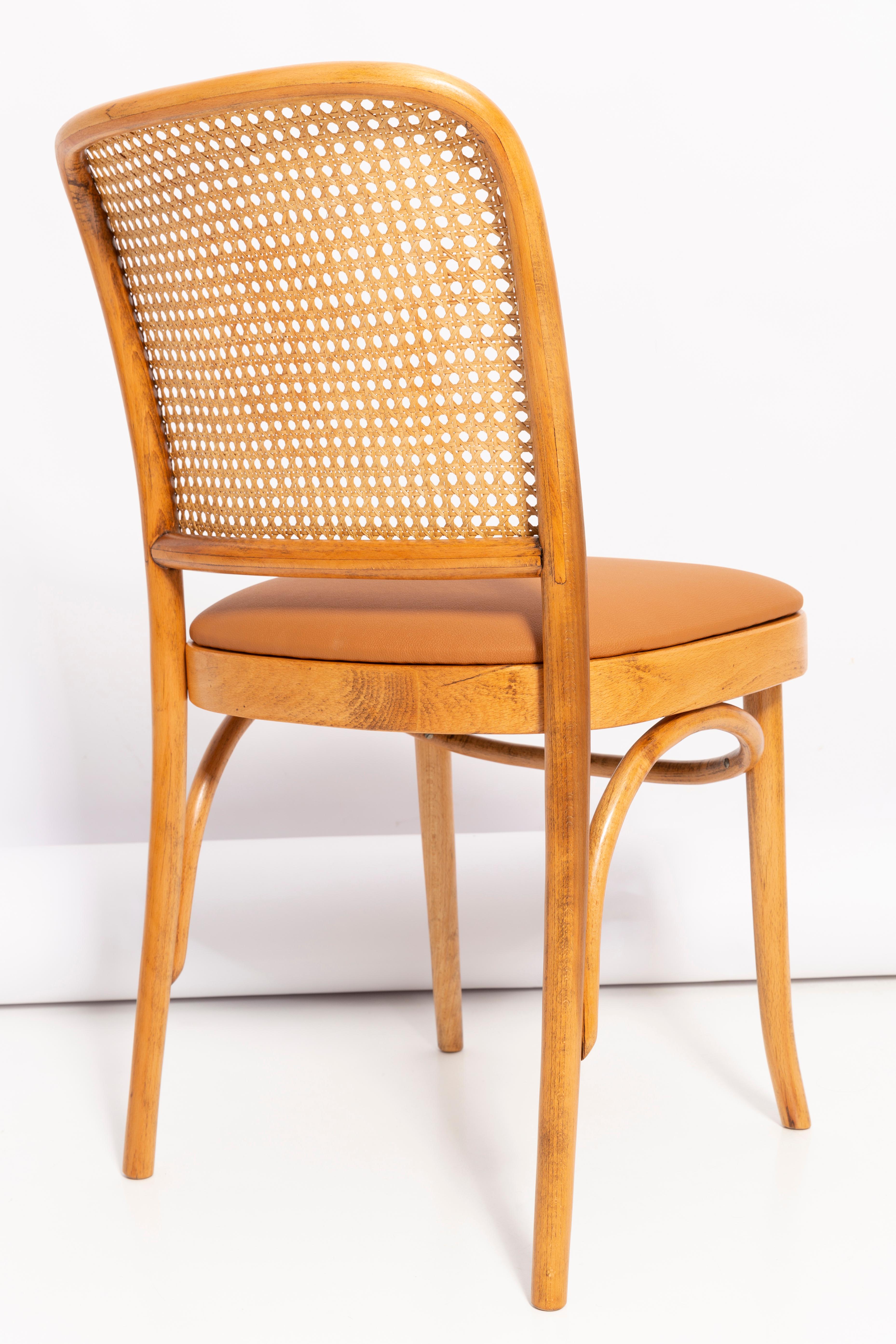Camel Faux Leather Thonet Wood Rattan Chair, 1960s In Excellent Condition For Sale In 05-080 Hornowek, PL