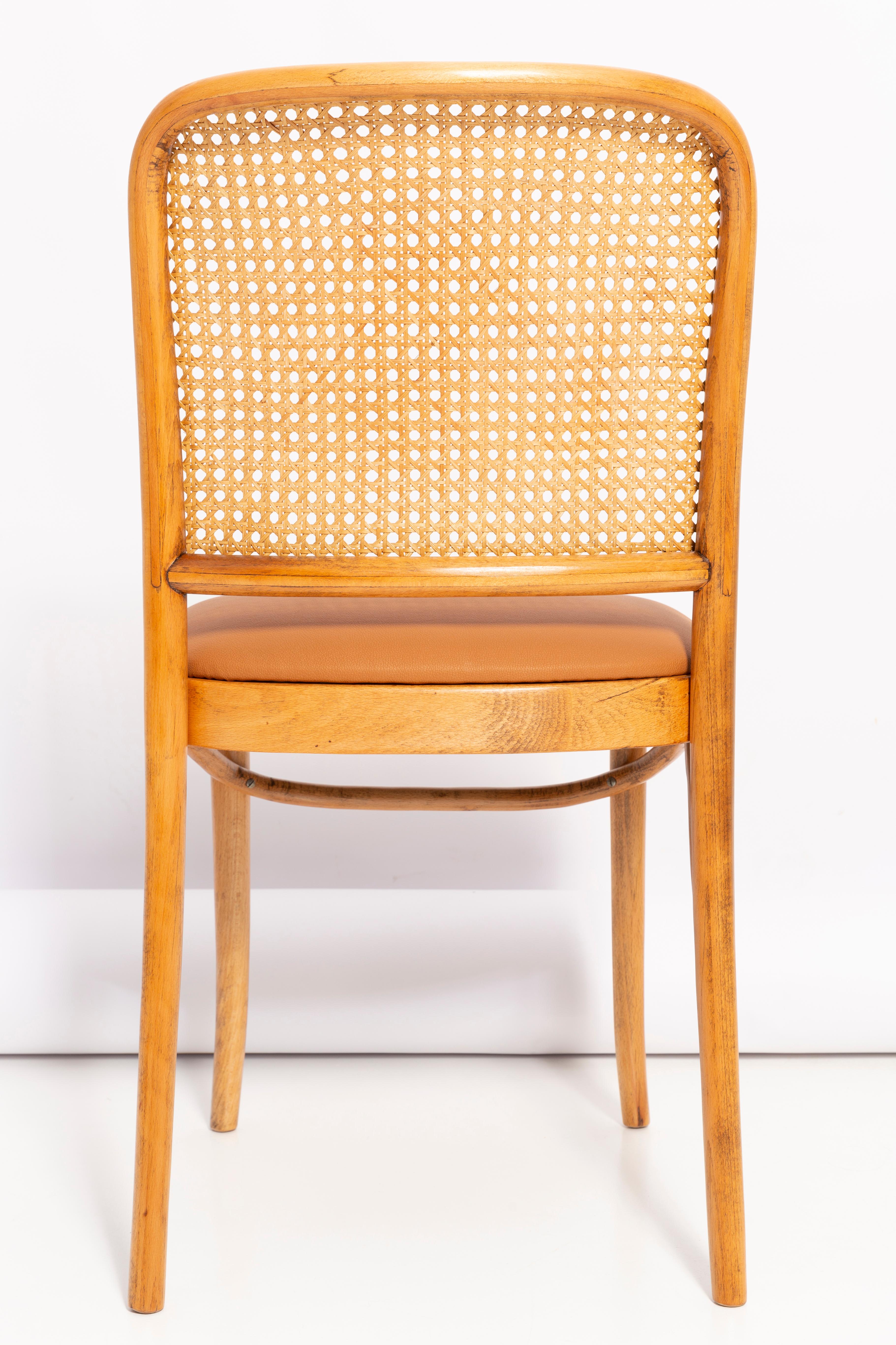 20th Century Camel Faux Leather Thonet Wood Rattan Chair, 1960s For Sale