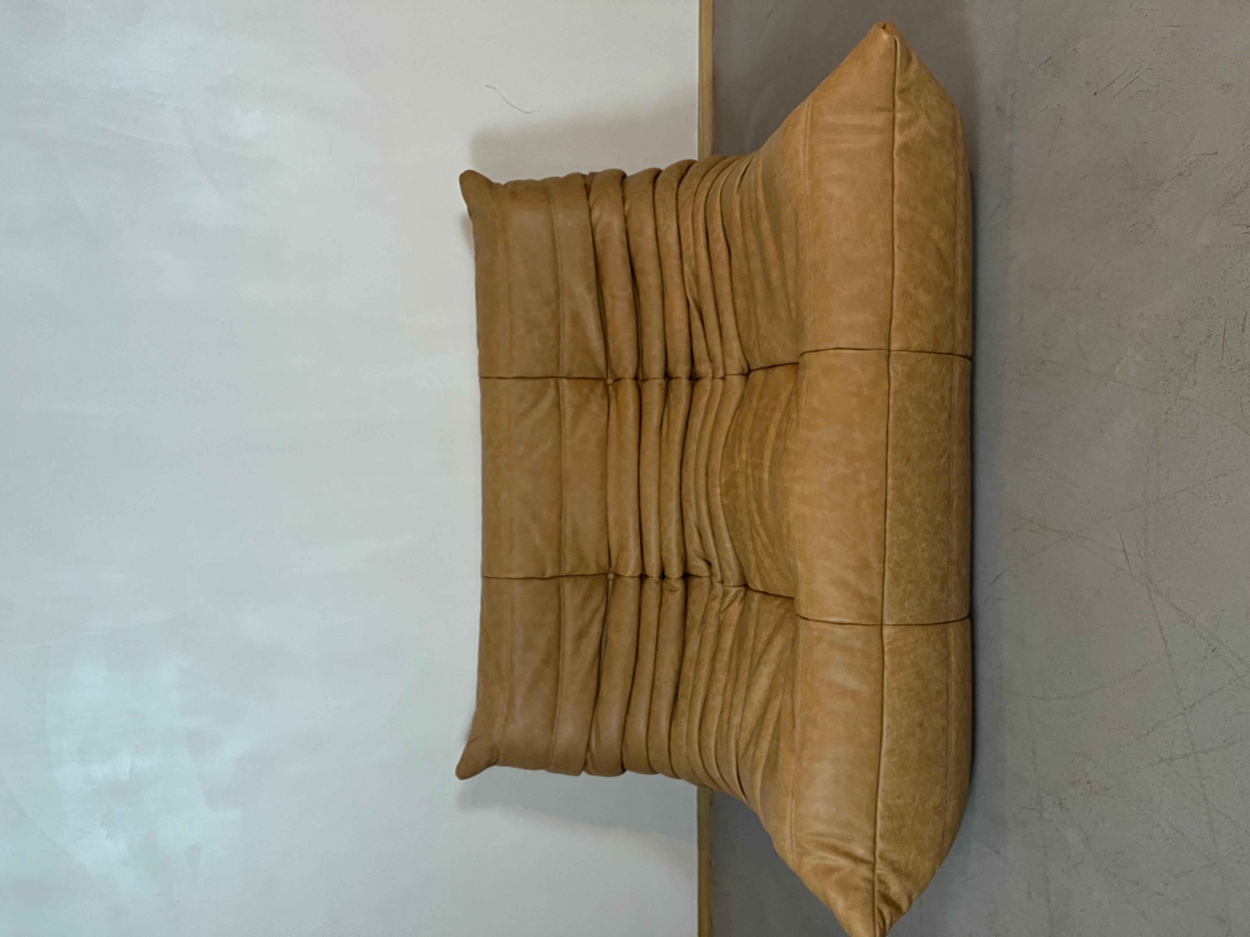 Leather Camel leather Togo Sofa by Michel Ducaroy for Ligne Roset, Set of 5 pieces