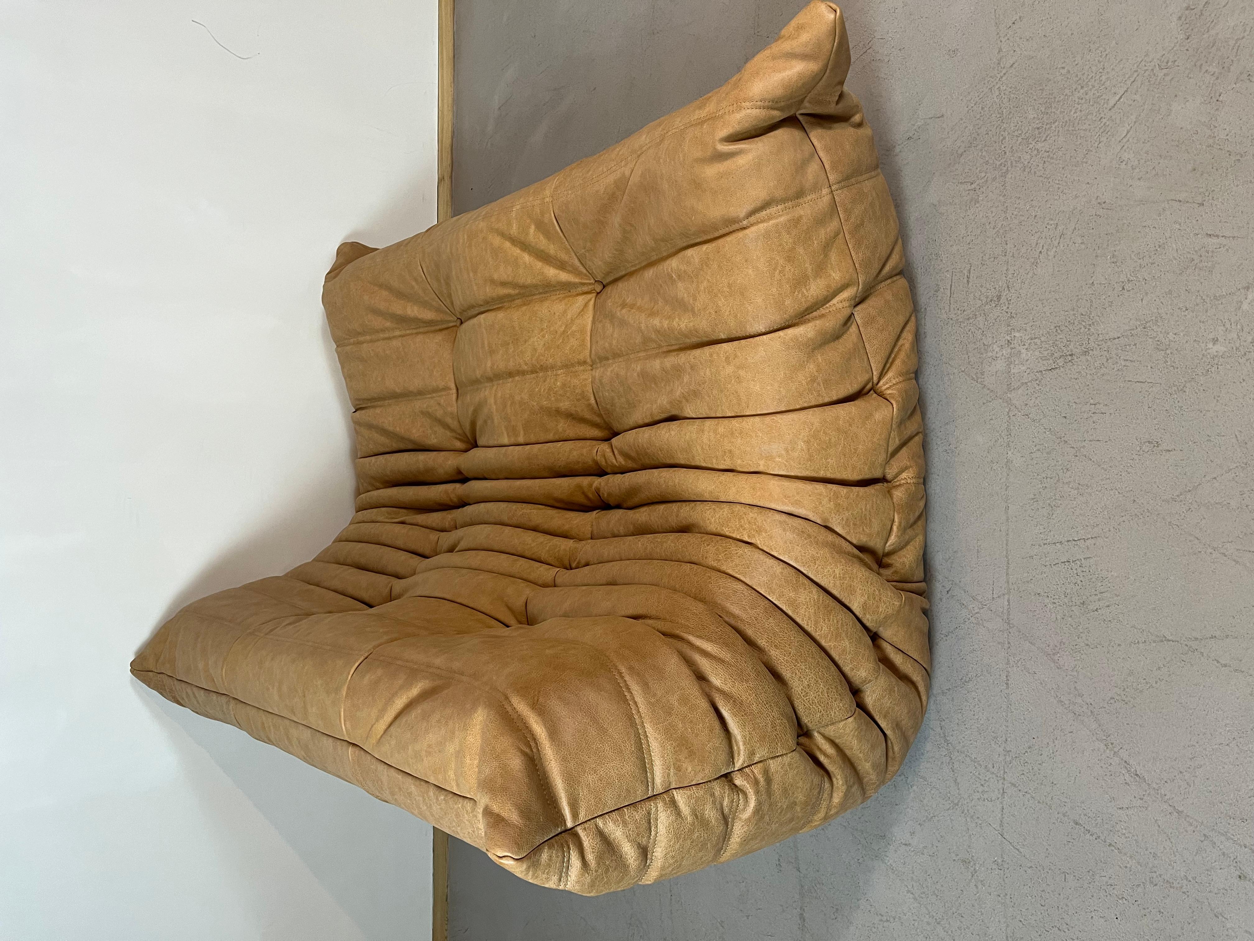 Togo-Sofa aus Kamelleder von Michel Ducaroy für Ligne Roset, Set mit 5 Pieces im Angebot 2