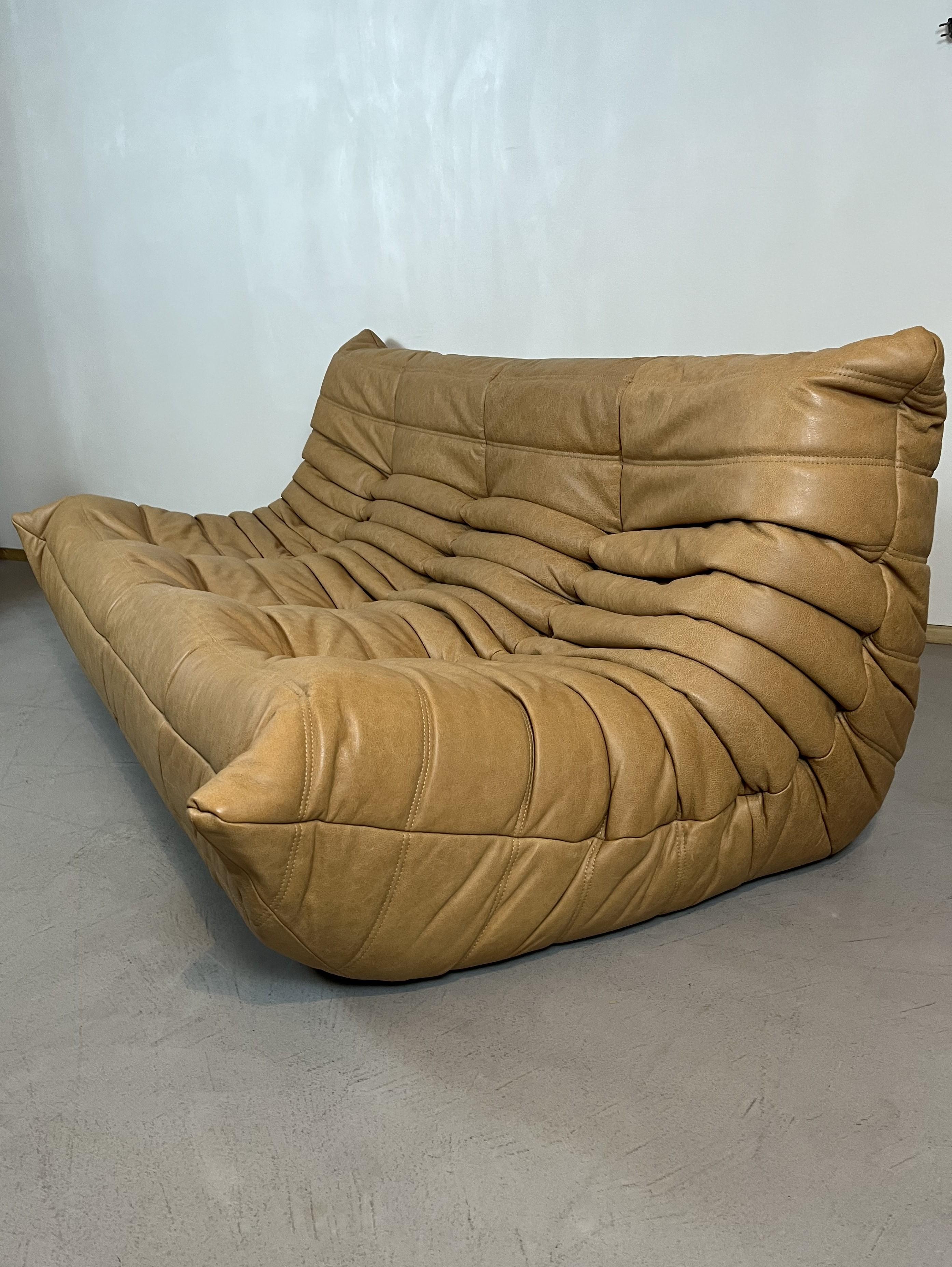 Togo-Sofa aus Kamelleder von Michel Ducaroy für Ligne Roset, Set mit 5 Pieces (Moderne der Mitte des Jahrhunderts) im Angebot
