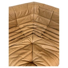 Camel leather Togo Sofa by Michel Ducaroy for Ligne Roset, Set of 5 pieces