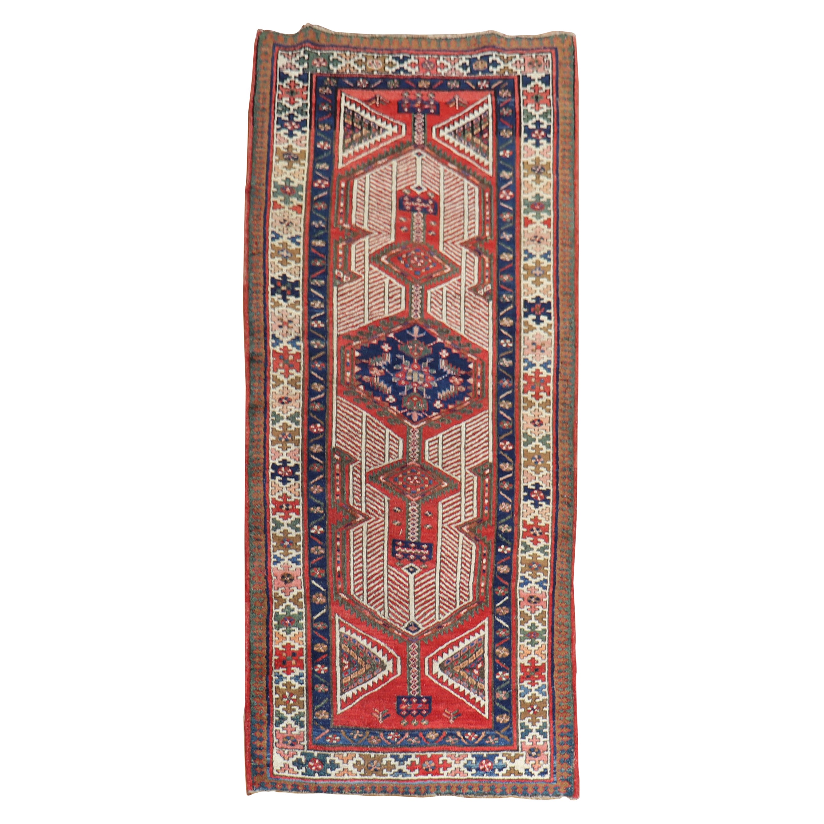 Corridore persiano Camel Serab