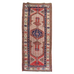 Corridore persiano Camel Serab