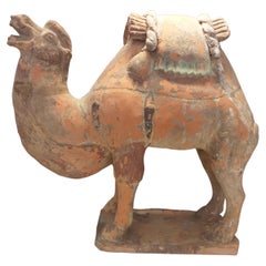 Camel, Terracotta, China, Tang Period