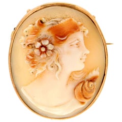 Cameo 14 Karat Yellow Gold Brooch Cameo 14 Karat Yellow Gold Brooch