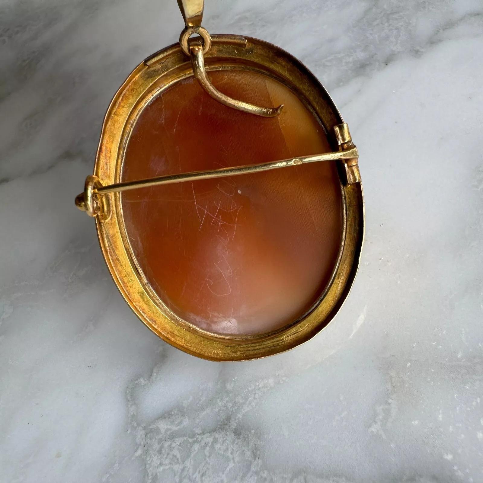 Cameo 19th century profile of a woman in gold frame For Sale 1