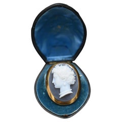 Cameo Agate and Yellow Gold Brooch