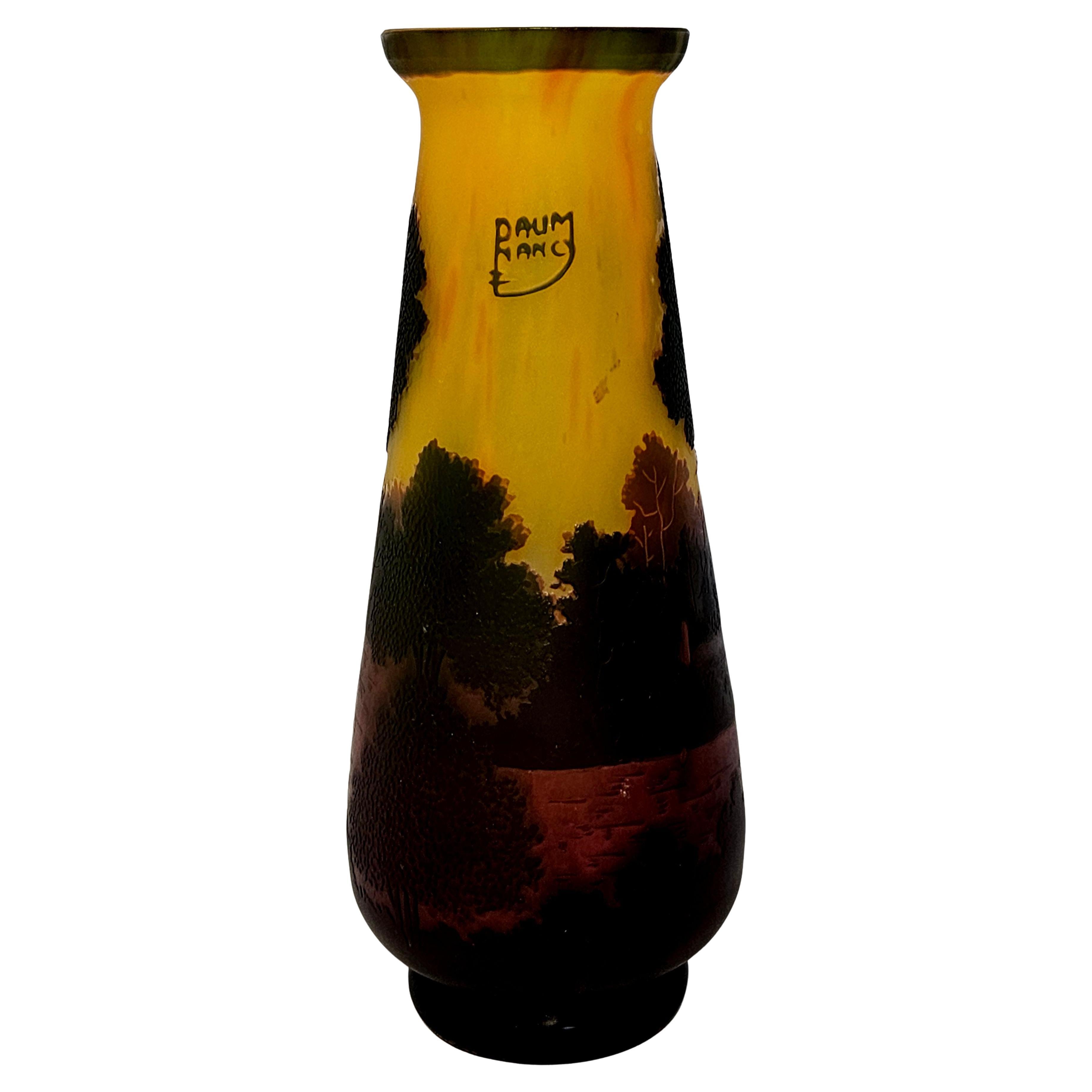 Vaso da paesaggio in vetro cammeo con firma spuria "Daum Nancy" e "TIP". in vendita