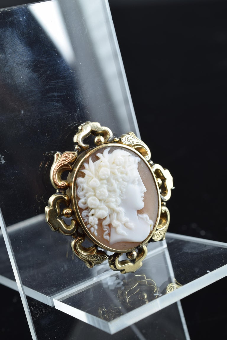 Cameo with Gold Frame; Brooch, Victorian Era, circa 1850 For Sale