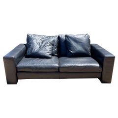 Camerich Company - Canapé Loveseat en cuir chic + enveloppe confortable en plumes de duvet Seattle Wa