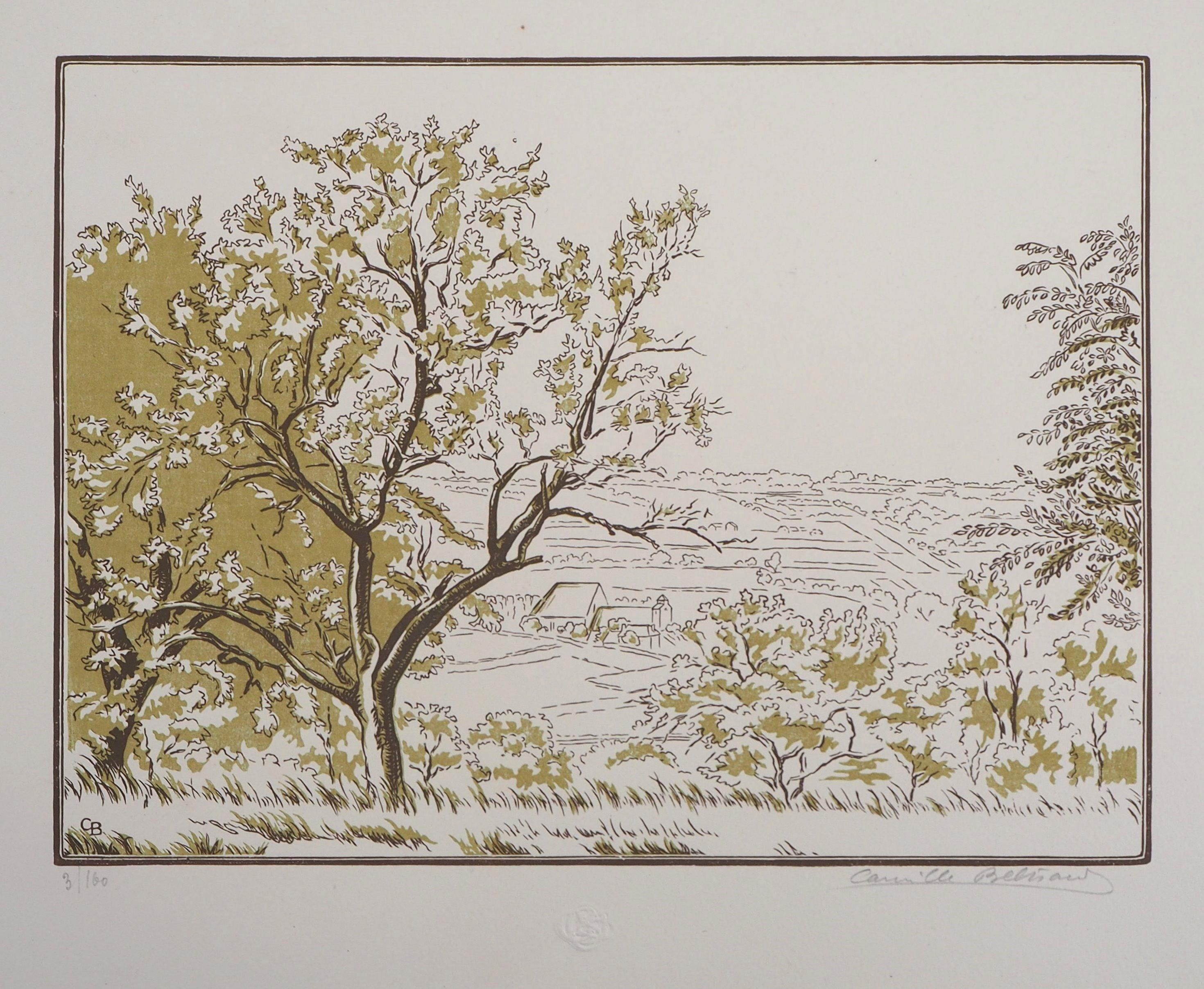 Landscape Print di Camille BELTRAND - Paesaggio tranquillo in Normandia - Incisione originale su legno, firmata e numerata a mano