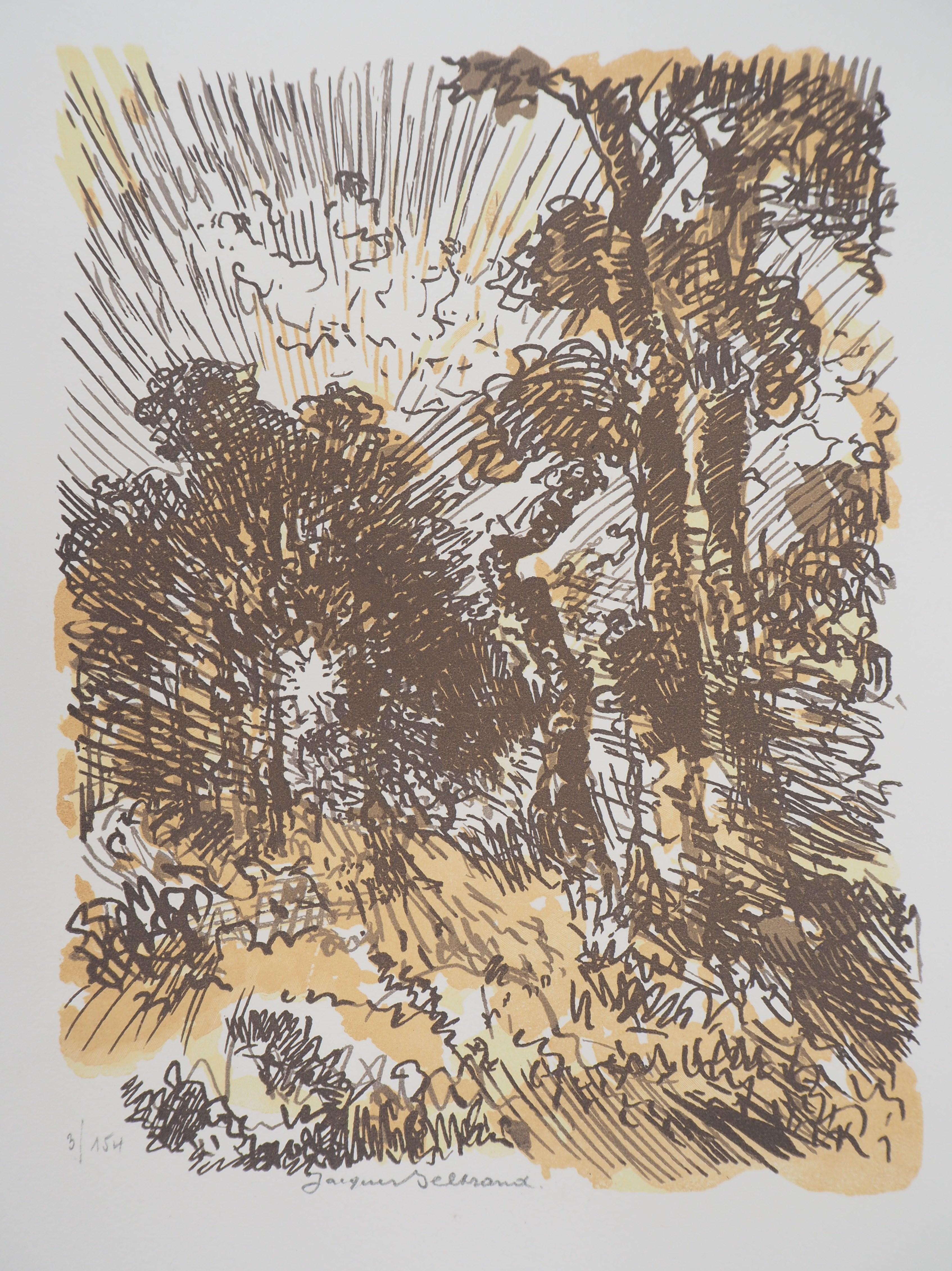 Landscape Print Camille BELTRAND - Wild Forest - Gravure originale sur bois, signée et numérotée
