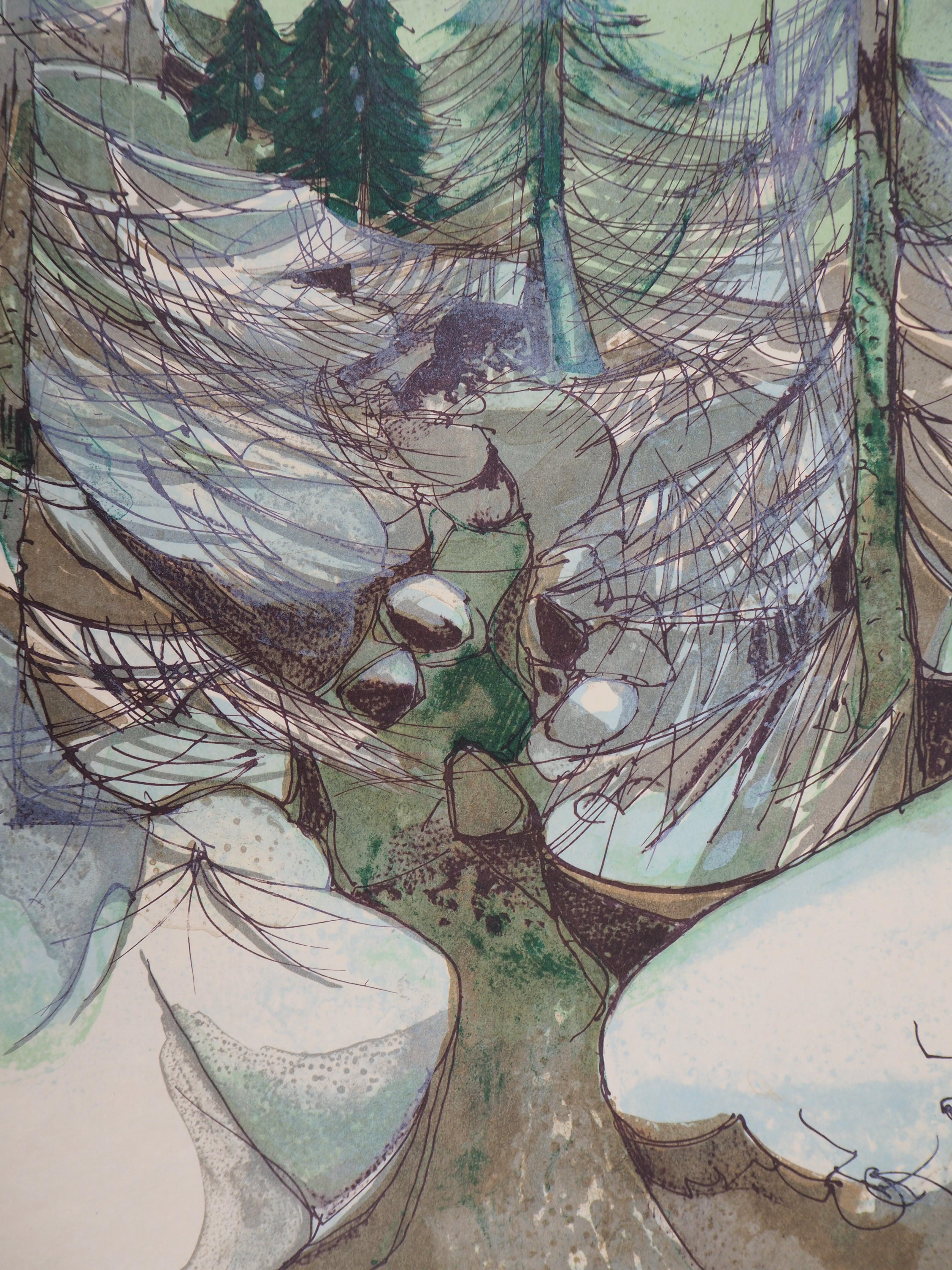 Rivers in France : Mountain Torrent in Winter - Original handsigned lithograph - Modern Print by Camille Hilaire