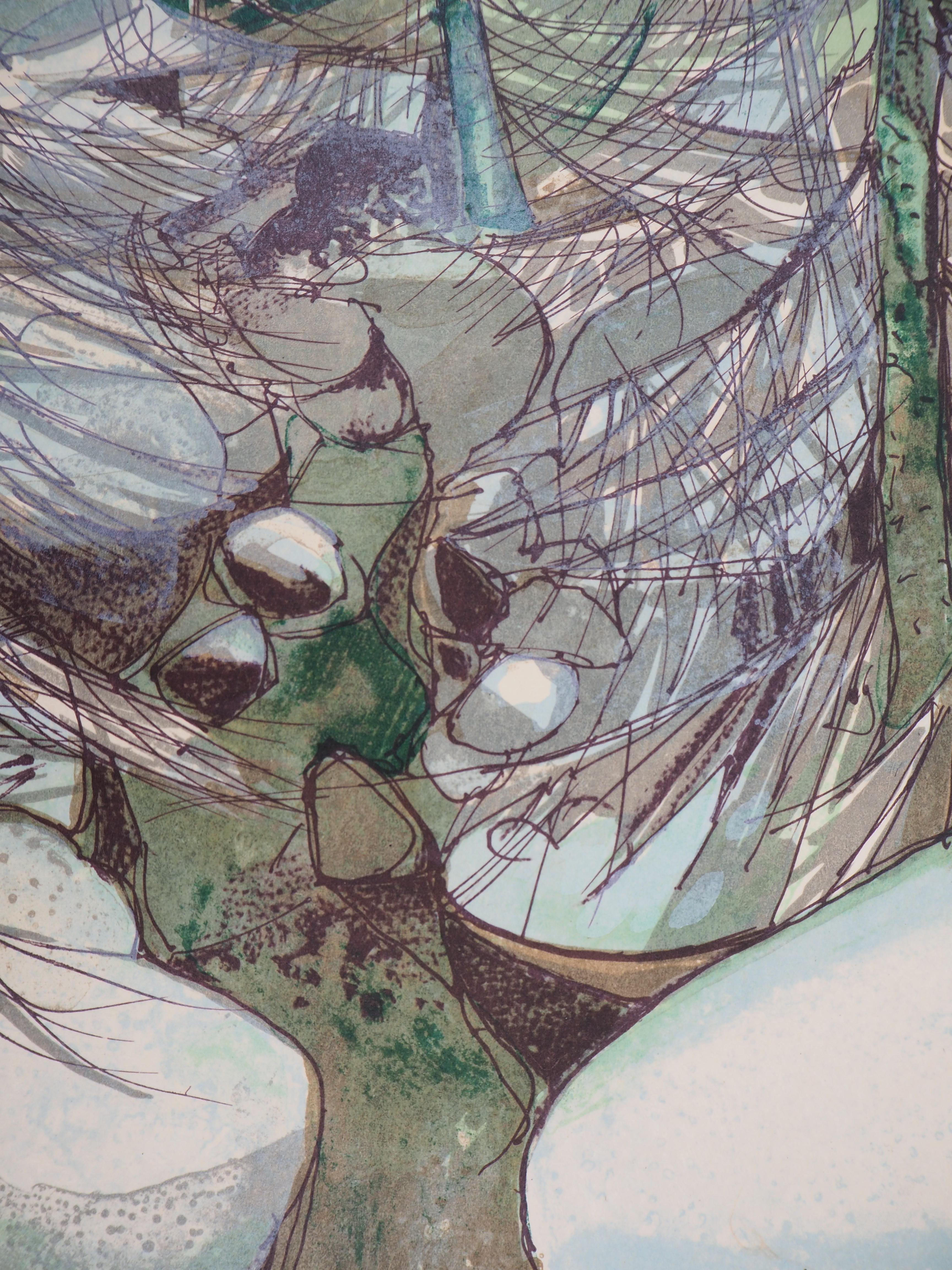 Rivers in France : Mountain Torrent in Winter - Original handsigned lithograph - Gray Landscape Print by Camille Hilaire