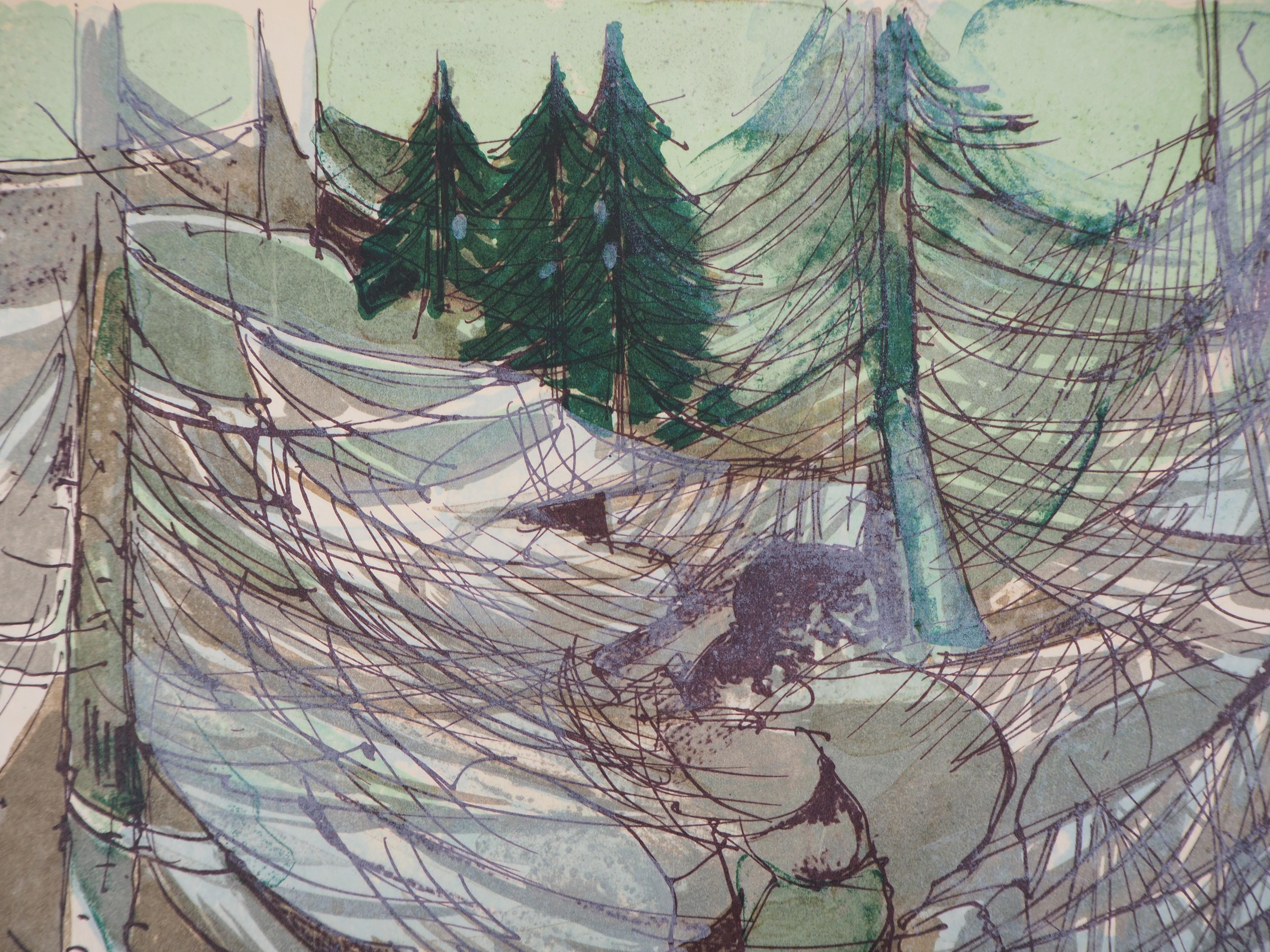 Camille HILAIRE
Mountain torrent

Original lithograph
Handsigned in pencil
On Vellum 40 x 30 cm (c. 16 x 12 in)

Ausgezeichneter Zustand