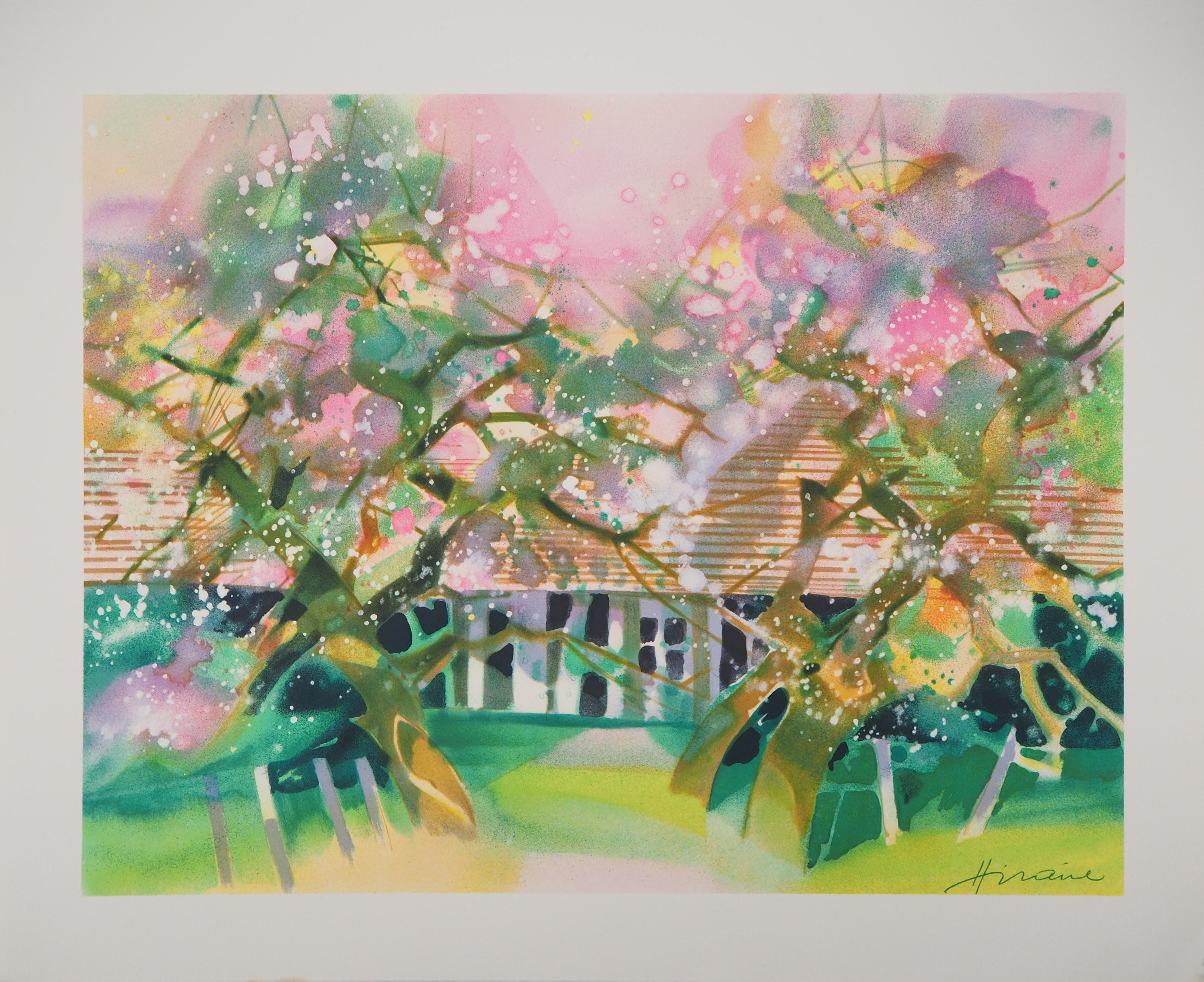 Spring : Apple Trees in Blossom  - Original lithograph