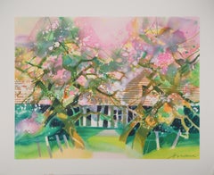 Vintage Spring : Apple Trees in Blossom  - Original lithograph