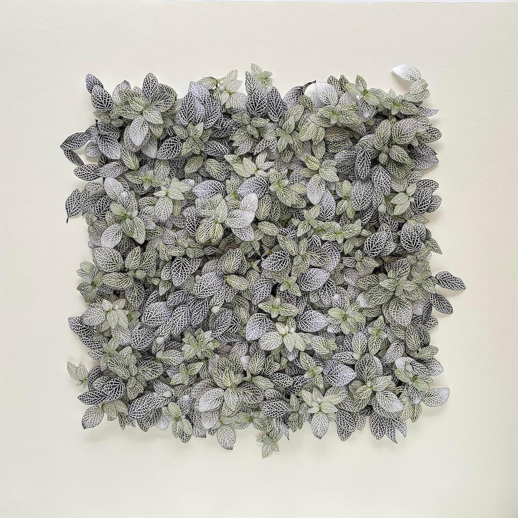 "Hong Kong Flora #7" di Camille Levert, 31 x 31 pollici, 2024